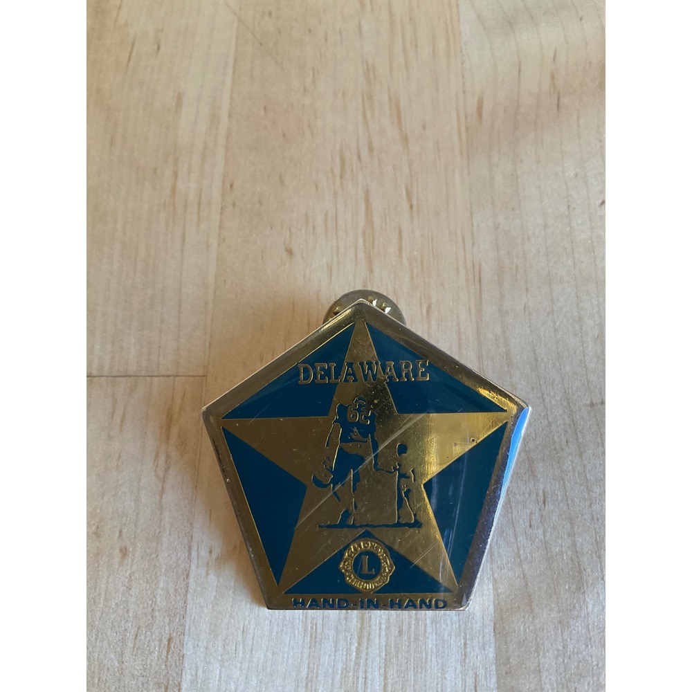 Vintage Lions Club Delaware Hand-In-Hand Enamel Lapel Pin Blue Gold Star Taiwan - Picture 2 of 4